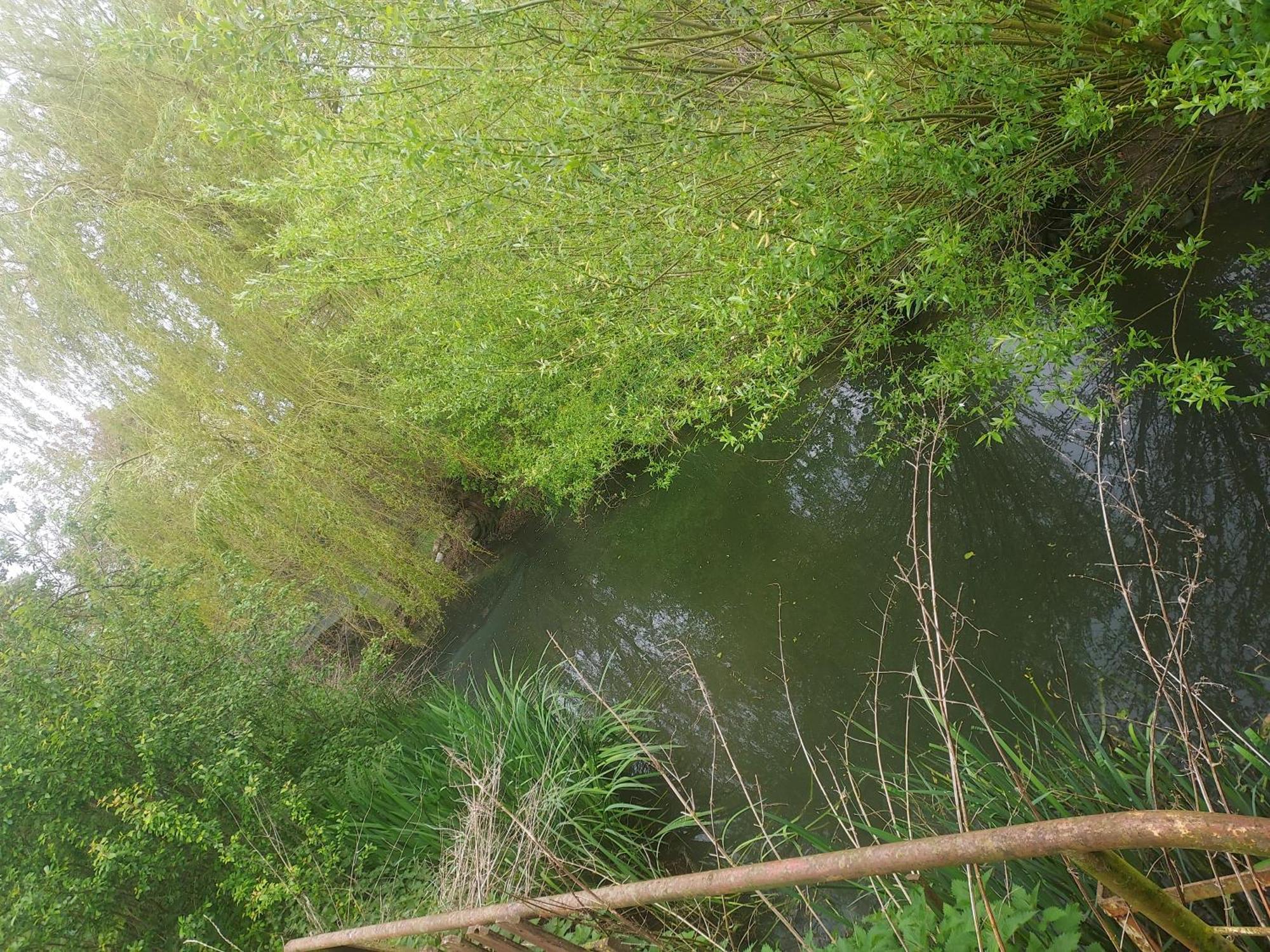 Au Chant Des Grenouilles Patay ภายนอก รูปภาพ